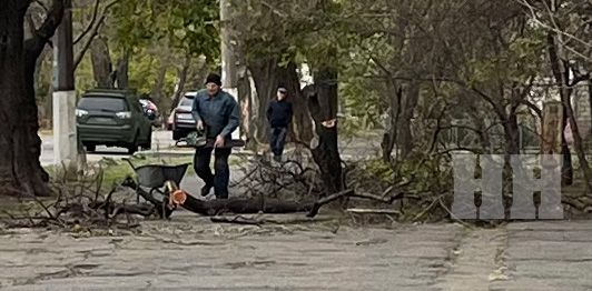 Сегодня штормовой ветер повалил в Николаеве уже 40 деревьев