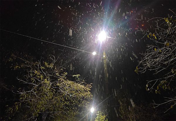 В Николаеве выпал первый снег. Фото