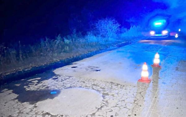 Николаевская полиция задержала водителя «мерседеса», который переехал пешехода и покинул место ДТП