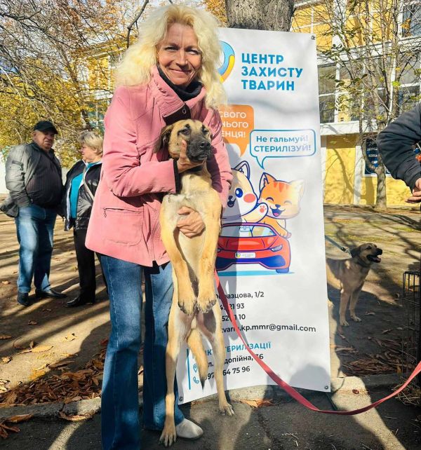 В Каштановом сквере в Николаеве раздавали котов и собак