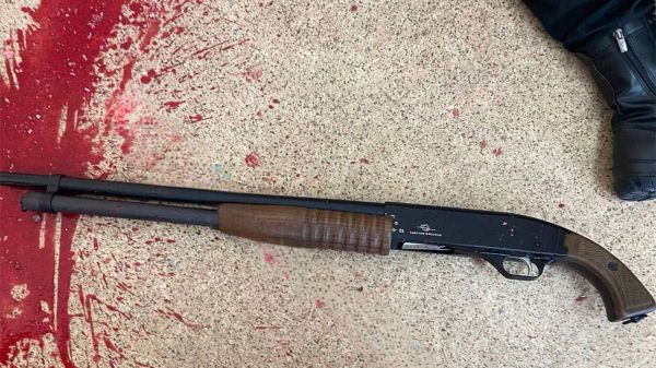 В российском Брянске восьмиклассница пришла в школу с дробовиком и расстреляла одноклассников