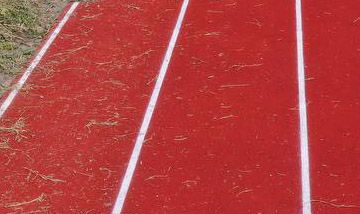 В Николаевской области на сельском стадионе установлен рекорд – украдено 300 тысяч бюджетных гривен