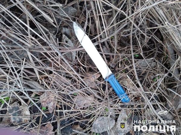 В Николаевской области 15-летний подросток чуть не зарезал старшего брата