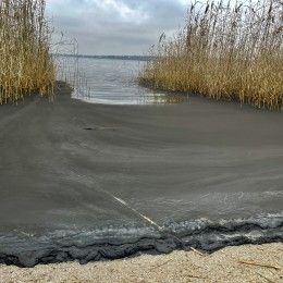 Берег Намыва в Николаеве покрыла черная пена