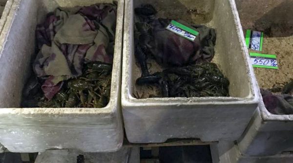 Продавщицу с рынка «Юлиана» оштрафовали за торговлю раками: цена по 500-700 грн