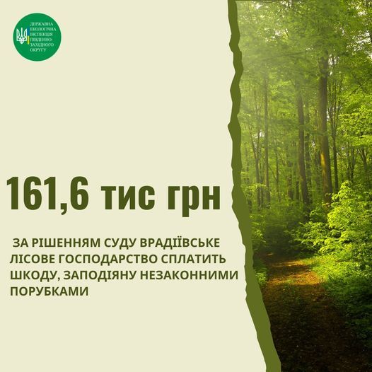 Лесхоз в Николаевской области таки оштрафовали за 39 спиленных деревьев