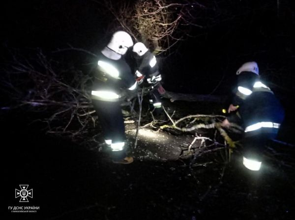В Николаевские области ветер валит деревья