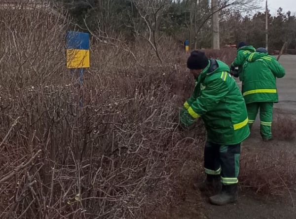 В «Николаевских парках» объяснили, почему начали обрезку кустов раньше времени