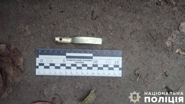 В Николаевской области мужчина взорвал ульи своего тестя