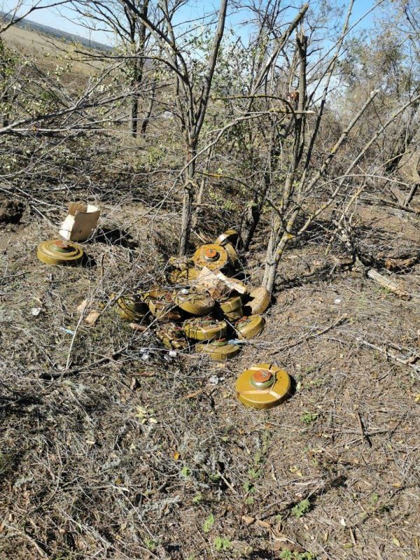 Государственная специальная служба транспорта в Николаевской области с 1 января уже разминировала 24 гектара