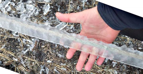 5 см. льда: "Николаевоблэнерго" показало, как выглядит обледенение линий электропередач