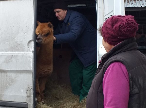 Перед новым годом Николаевский зоопарк провел большой обмен животными (фото)