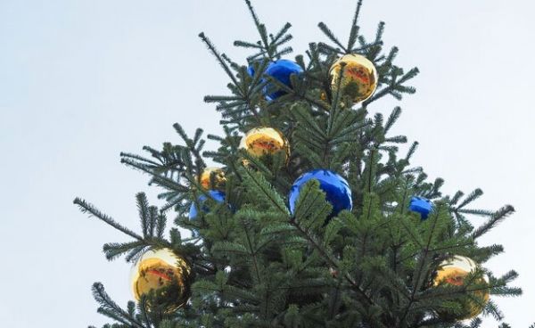 Новая мобилизация, повышение пенсий и соцвыплат: какие новации ждут украинцев в 2024 году