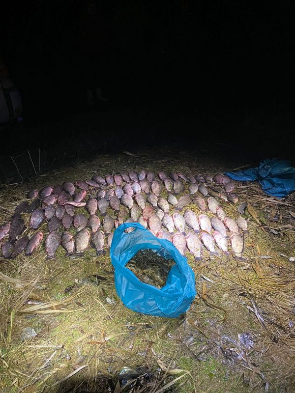 Под Николаевом браконьеры на деревянной лодке наловили карасей и речных раков на 600 тысяч гривен