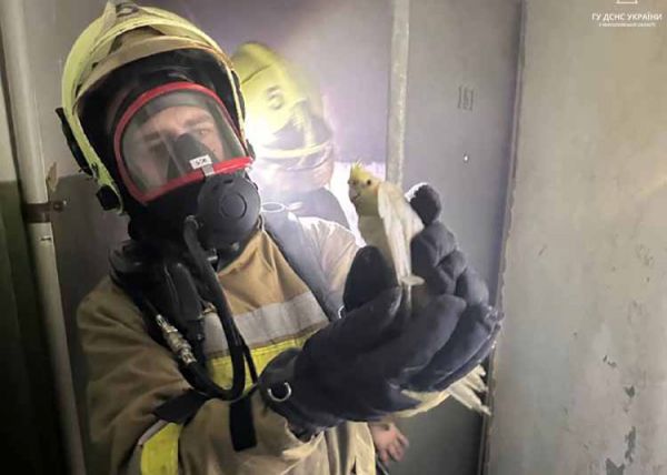 Трех попугаев и 8 жильцов эвакуировали при пожаре в николаевской многоэтажке (фото)