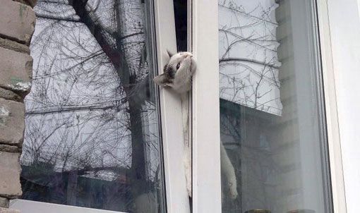 В Николаеве из-за очень теплой погоды снизили температуру в батареях до минимума