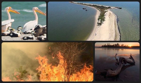 Спутники зафиксировали более двухсот пожаров на захваченном россиянами Кинбурне