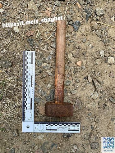 В Николаеве дачник убил кувалдой свою приятельницу