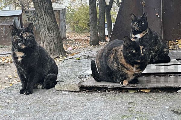 В пяти городах Николаевской области замерили радиационный фон