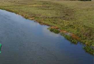 В Николаевской области хотят расторгнуть договор до 2055 года аренды земли стоимостью 1,4 миллиарда гривен