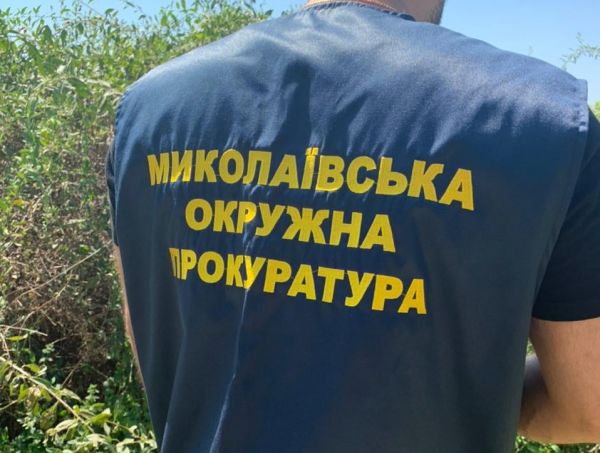 Николаевского прокурора наказали тем, что оставили на второй год в должности