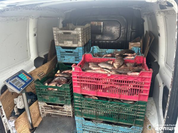 В Николаевской области через блокпост пытался проехать автомобиль с центнером карасей