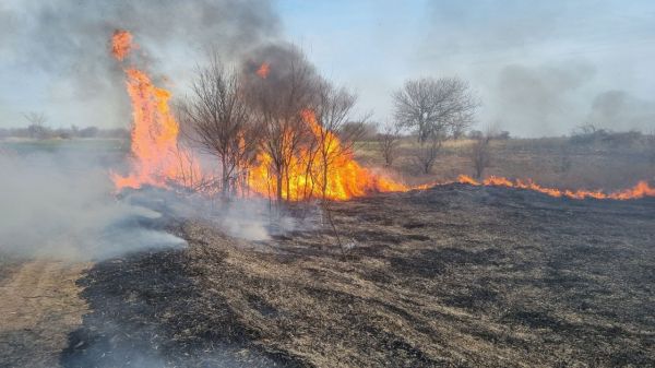 Под Казанкой сгорело 2,7 га сухостоя (фото)