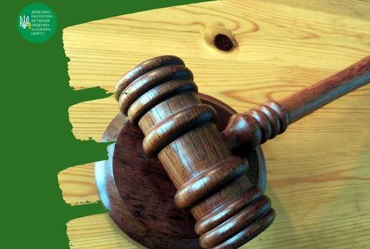 Николаевский провайдер заплатил более 600 тысяч гривен за нарушение природоохранного законодательства