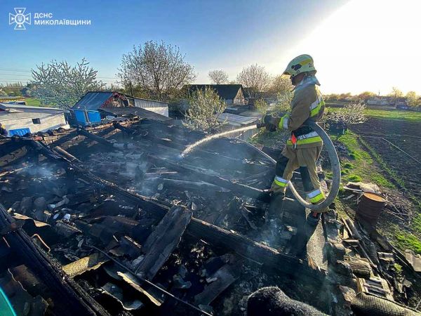 В Николаевской области из-за дров чуть не сгорели хозпостройки в домохозяйстве