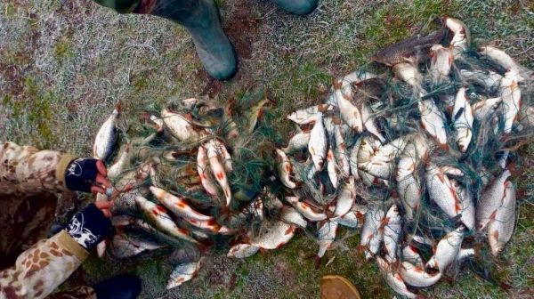 За карасей и окуней из Еланецкого водохранилища будут судить местного браконьера