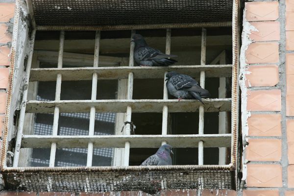 Кому не дадут оружие в рамках мобилизации осужденных