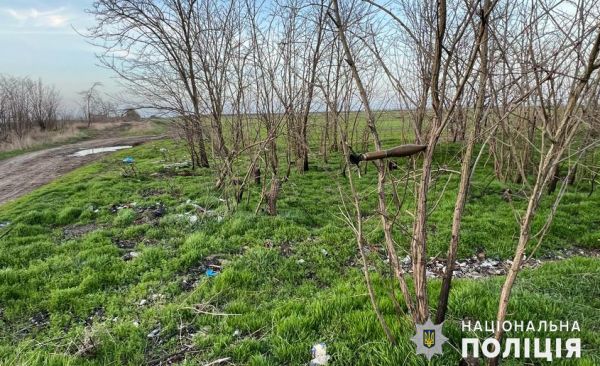 На обочине автодороги в Николаевском районе на ветке висела боевая граната