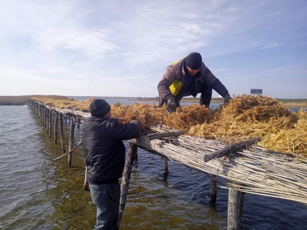 На Тилигуле искусственные острова застелили сеном