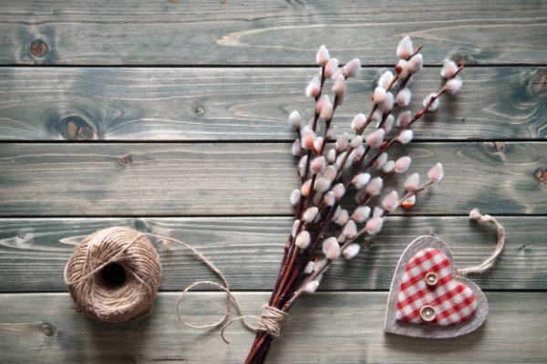 Вербное воскресенье: почему принято освящать вербу, приметы и запреты праздника