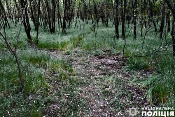 Николаевские полицейские за несколько часов задержали насильника 19-летней девушки