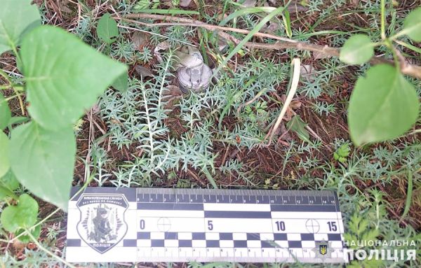 В Николаеве на кладбище взорвали кассетный боеприпас