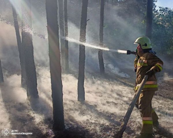 В небо под Николаевом подняли беспилотники