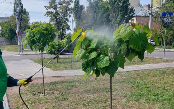 Препарат, которым обрабатывают деревья в Николаеве, безопасен для людей