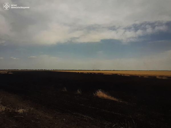 Вчера на деоккупированных территориях Николаевщины выгорели 16 гектаров пшеницы и ячменя