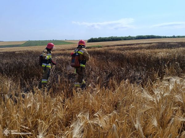 Утром на Николаевщине горело поле с ячменем (фото)