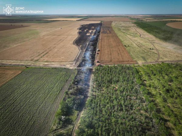 На Николаевщине горело второе поле ячменя за сутки (фото)