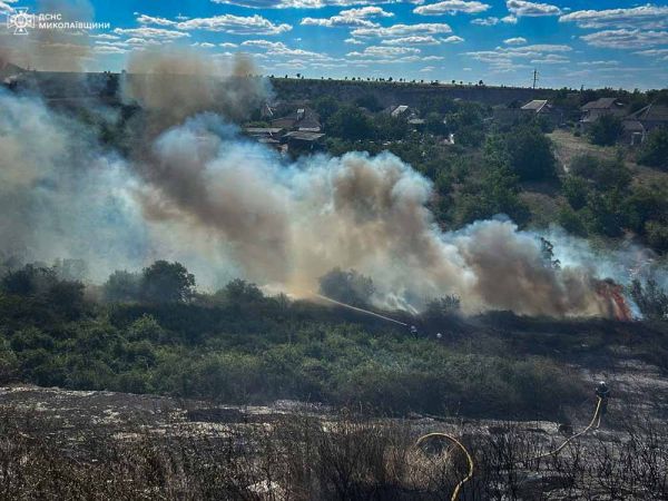 На Николаевщине из-за сухостоев чуть не сгорело 60-гектарное поле пшеницы