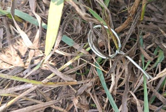 На Николаевщине пьяный мужчина взорвал гранату на пляже