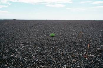 В Николаевской области директора гимназии потянули в суд