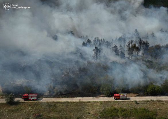 Днем под Николаевом начался лесной пожар