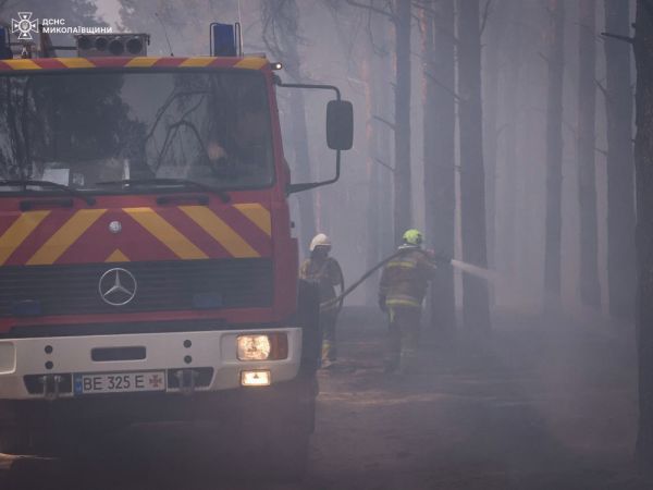 В лесном урочище под Николаевом произошел масштабный пожар