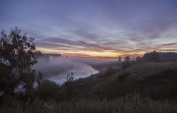 В Николаевской области из Мертвовода вытащили тело утопленницы