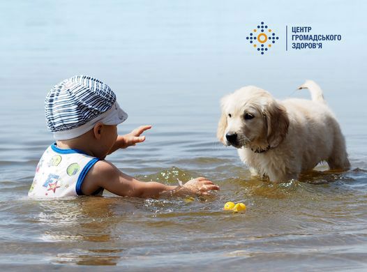 В Николаевской области уже 12 случаев лептоспироза: что это за болезнь и как себя обезопасить