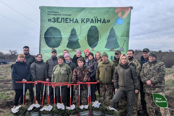 На Николаевщине высадили новый лесной массив: 27 000 саженцев крымской сосны