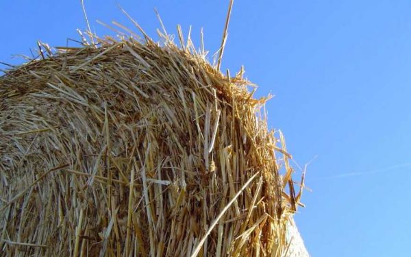 Российская баллистическая ракета "приземлилась" на солому под Николаевом